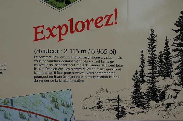 Lac Peyto (4).JPG